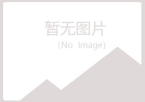 珲春字迹零售有限公司